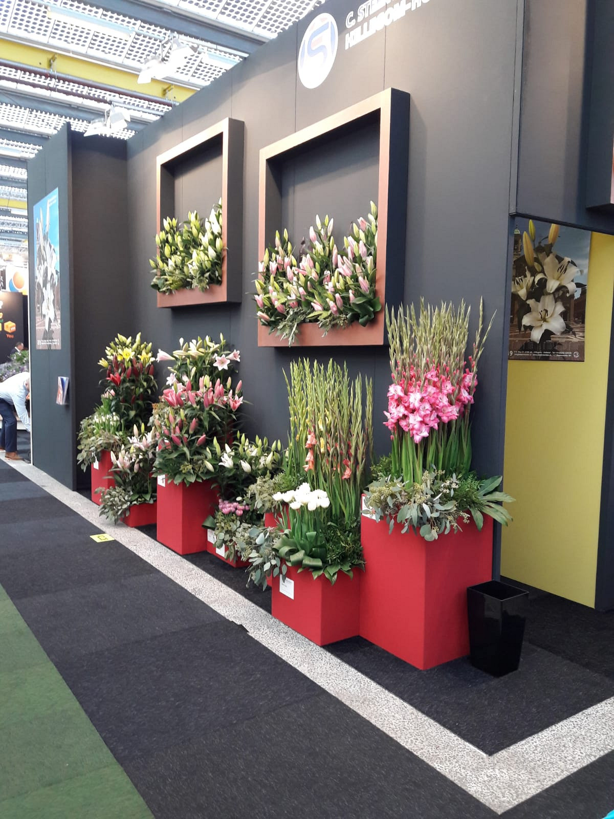 IFTF        6-8 November