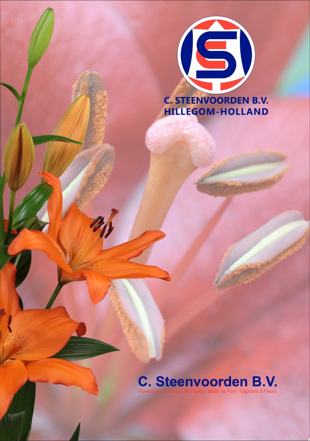 Catalog